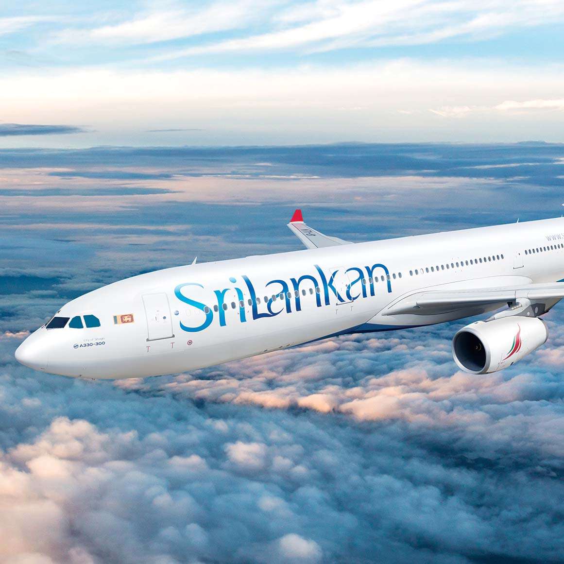 A rat spotted on a plane raises concerns for Sri Lanka’s airline