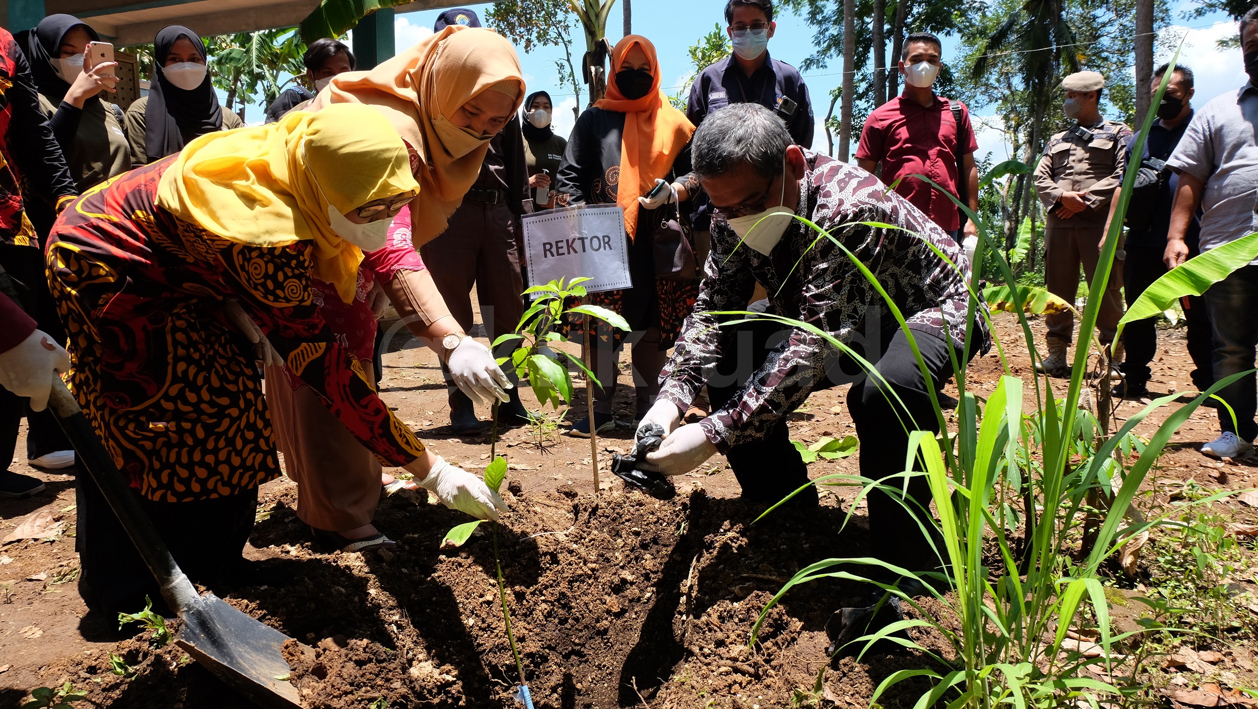 Islamabad Kick Off Three-Phase Plantations Drive to Grow 4 Million Trees