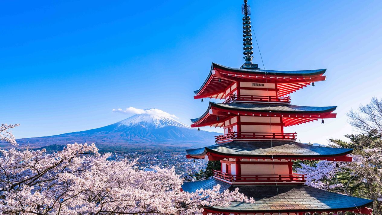 Japan Visit Visa Requirements for Pakistani Citizens