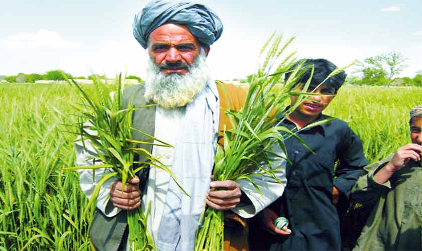Pakistan’s Agricultural Tax Among Highest in the Region