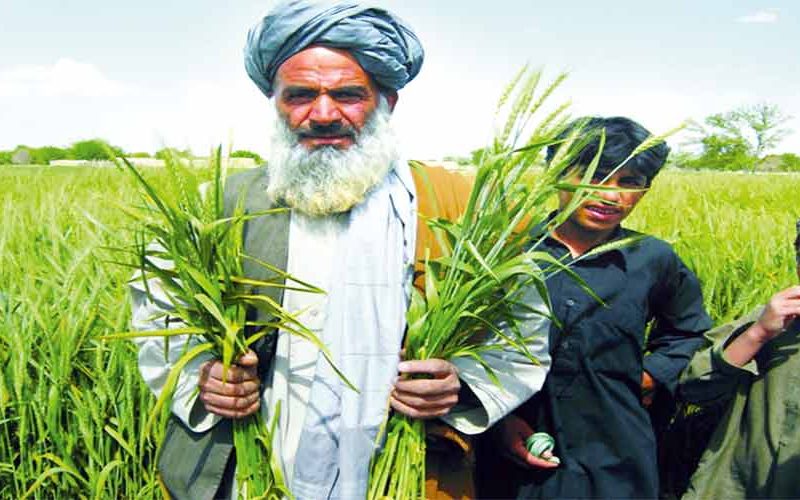 Pakistan’s Agricultural Tax Among Highest in the Region