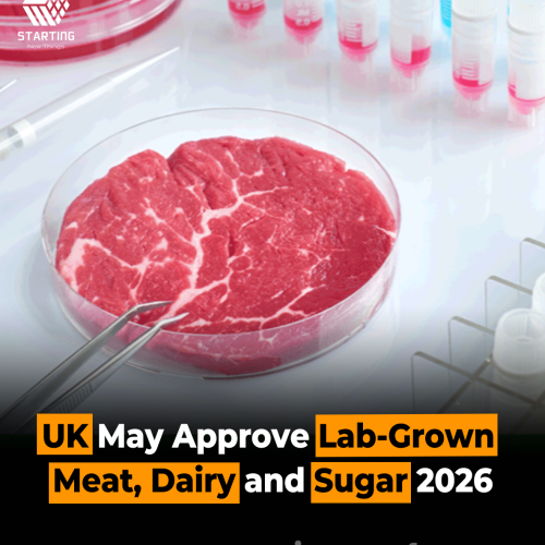 UK May Approve Lab-Grown Meat, Dairy and Sugar 2026