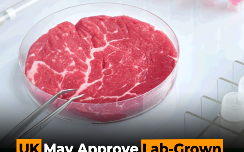 UK May Approve Lab-Grown Meat, Dairy and Sugar 2026