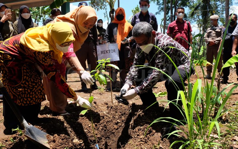 Islamabad Kick Off Three-Phase Plantations Drive to Grow 4 Million Trees