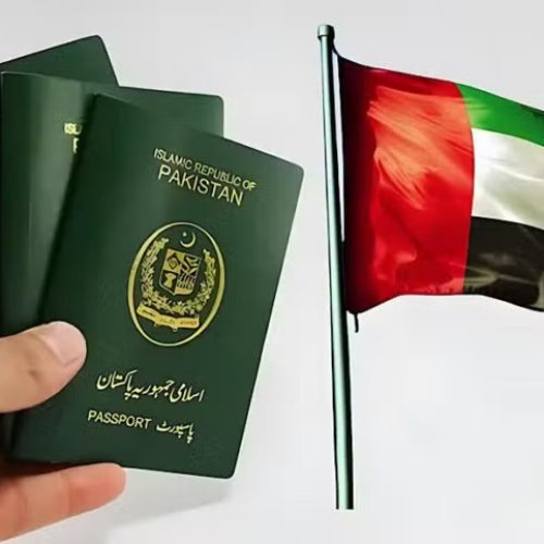 Pakistanis Found Submitting Fake Degree for Job Contract for UAE Vissa