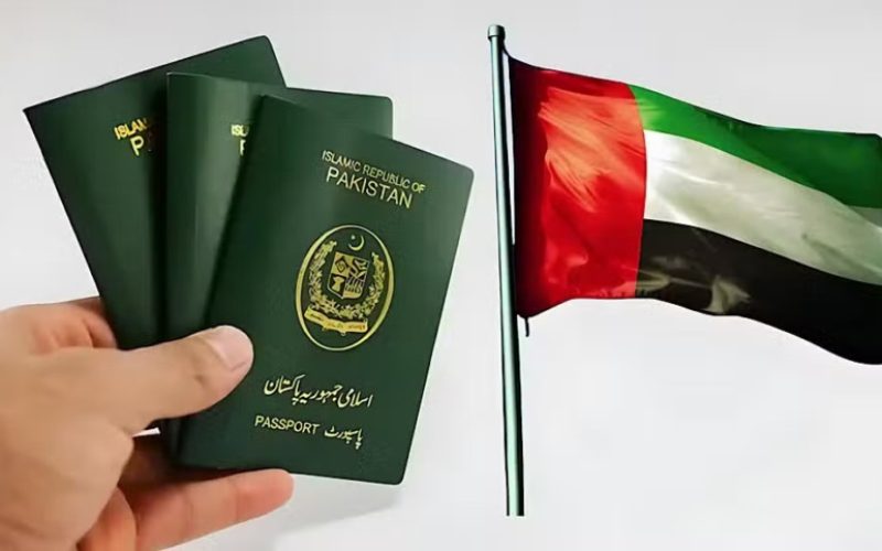 Pakistanis Found Submitting Fake Degree for Job Contract for UAE Vissa